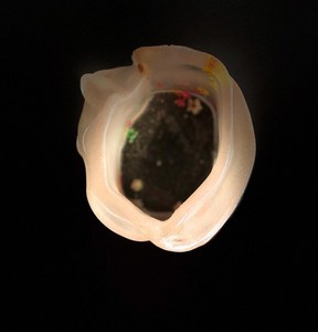 Elegant Resin Centerpiece Vase for Dining <b>Table</b> - Product Image 3