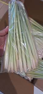 Herbe de citronnelle entière surgelée IQF de qualité supérieure, naturelle et aromatique, exportateur du Vietnam - Product Image 2