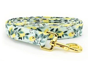 Correa para Perro con Estampado de Limonada de Menta, Correa de Moda para Perro con Herrajes Dorados - Product Image 2
