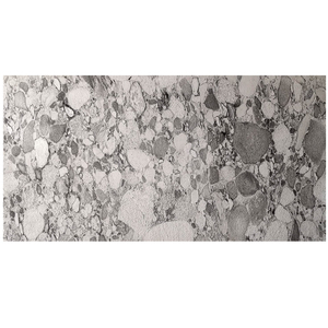 Exportateur de matériaux de parement en pierre légers, Stone Veneer Cosmo Sheet, feuilles de parement flexibles, utilisation sûre pour villas et maisons. - Product Image 4