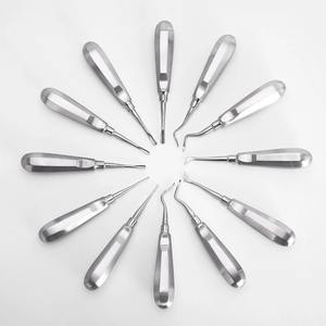 Elevador dental de acero inoxidable: Herramienta mínimamente invasiva para sujeción y extracción de raíces con mango hueco - Product Image 1