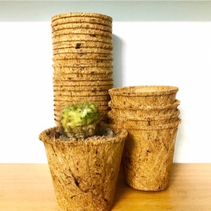 Maceta de Fibra de Coco BEST CHOICE, Diseño Moderno Ecológico, Uso en Hogar y Jardín, Herramienta de Soporte Confiable, Decoración para Eventos de Gran Inauguración - Product Image 3