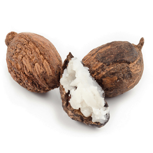 Beurre de karité non raffiné de qualité supérieure, vente en gros en vrac pour les fabricants de produits de soin, les marques de beauté et les acheteurs mondiaux - Product Image 6