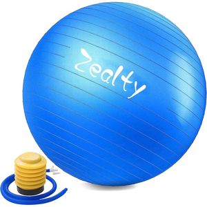 Palla da Yoga Antiscivolo e Anti-Scoppio con Pompa Rapida, Palla per Fitness e Parto, Sedia per Equilibrio - Attrezzatura Premium per Esercizi - Product Image 1