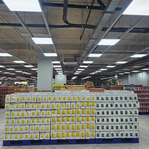 กาแฟอาราบิก้าพิเศษจากเวียดนาม รสชาติกลมกล่อมหวานอมเปรี้ยว บรรจุในถุง - Product Image 4