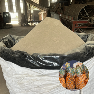 Polvo de Cáscara de Piña Seca de la Mejor Calidad y Precio Competitivo, Producto de Fábrica en Vietnam, Empacado en Bolsas de 5 kg - Product Image 1
