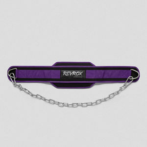 Ceinture de musculation en néoprène avec chaîne en acier, ceinture lestée pour tractions, soutien dorsal, ceinture de musculation personnalisée, anneau en D robuste - Product Image 4