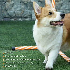 Attrezzatura per l'addestramento all'agility canina per un allenamento efficace dei cani - Product Image 6