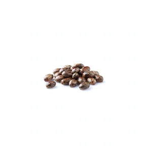 Aceite de Ricino 100% Puro, Aceite Herbal Prensado en Frío para Masajes, Aromaterapia, Cosmética y Cuidado de la Piel, Cuidado del Cabello y del Cuerpo, Suministro al por Mayor - Product Image 2