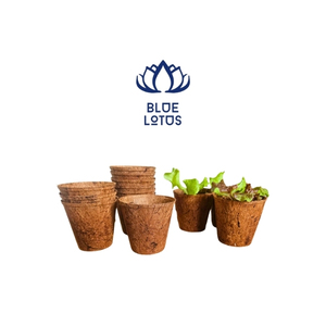 Maceta de Fibra de Coco de Primera Calidad, Contenedor Sostenible para el Cultivo de Plántulas y Protección de Raíces, Uso en Interiores y Exteriores - Product Image 1