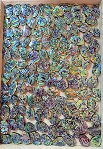 Natural Abalone Shell Carved Cabochon with Iridescent Color Play – Premium Jewelry Gemstone for Custom Design & Wholesale Bulk, - Product Image 2