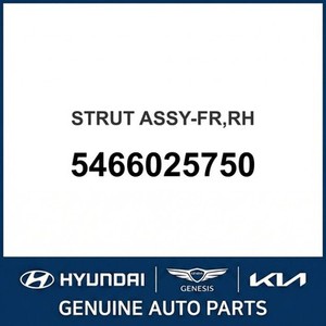 อะคเซนท์ นิว ช็อคส์ สตรัทส์ แอนด์ ไรท์ 5466025750 - Product Image 1