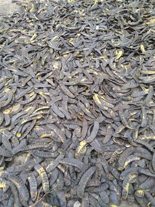 Champú Herbal Bo Ket Honey Locust para el Cabello, Nutritivo, Reparador, Refrescante, Cuidado Diario, Empaque a Granel OEM - Product Image 4