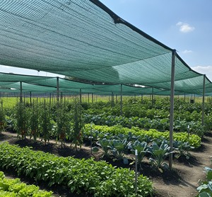 Grass Green <b>Plastic</b> Shade Net Warp Knitted Garden Shade <b>Mesh</b> for Crop Protection - Product Image 1