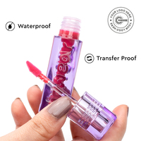 Gloss Boss Gloss à lèvres premium avec logo personnalisé, en forme liquide brillante