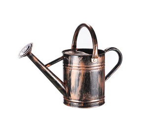 Metal Watering Can Custom Finish Water Can Easy Pour Watering <b>Cane</b> Perfect for Home & <b>Garden</b> - Product Image 6