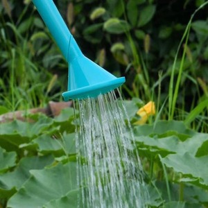 Bouteille pulvérisatrice d'eau manuelle pour jardinage, arrosoir à long bec, douchette pour semis et irrigation - Product Image 6