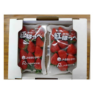 Fresas Japonesas de Calidad Brillante y Prestigio, Seleccionadas con Rigor, Dulces y Frescas - Product Image 1