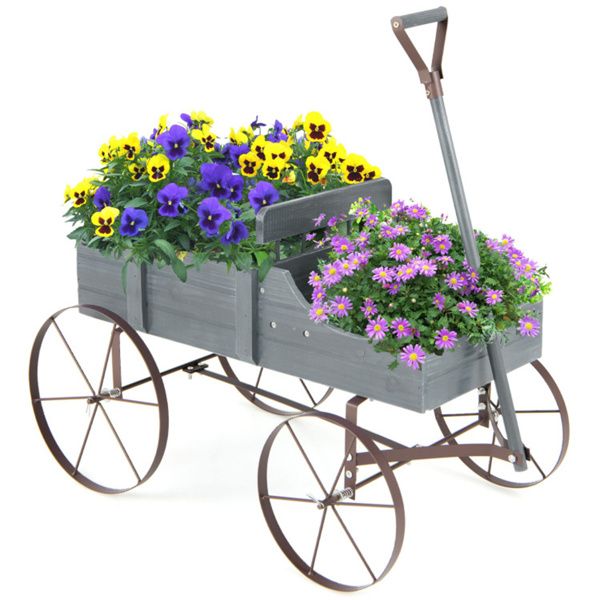 as picture Color