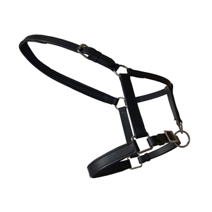 Harnais de cheval en cuir noir avec boucles réglables et anneaux métalliques pour usage équestre - Product Image 5