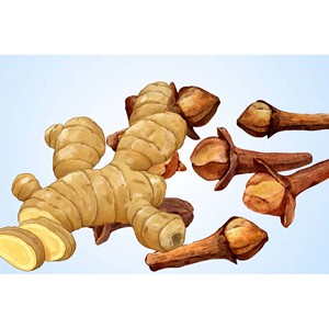 SHAMPOOING AU GINGEMBRE FRAÎCHE 500ML VIETNAM |   SOINS DU CHEVEU ET DU CUIR CHEVEULEUX AU GINGEME - Product Image 2