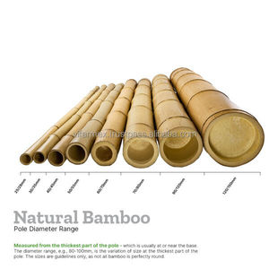 Pôles en bambou naturel du Vietnam pour la construction et l'aménagement paysager - Product Image 1