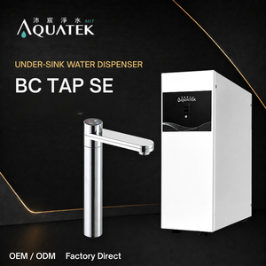Distributeur d'eau compact sous évier BC TAP SE, usage bureau, réservoir chaud 2L, interrupteur de sécurité, 750W - Product Image 1