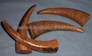 Cuerno de vaca de búfalo orgánico pulido Natural crudo en blanco Punta de estilo Animal Longitud personalizable (65-135cm) Arte coleccionable Uso a granel - Product Image 6