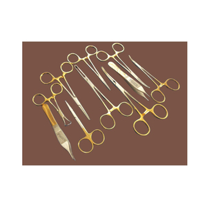 Veterinary Spay Surgery <b>Instrument</b> Set 10 PCS Animal Surgical <b>Instrument</b> Kit Canine Feline Surgery <b>Instruments</b> Veterinary - Product Image 1