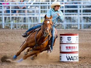 Fouet de dressage premium pour chevaux, avec poignée recouverte de daim ou de cuir et sangle de poignet - Product Image 6