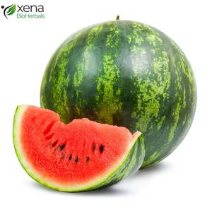 Proveedor de Materia Prima, Extracto Soluble de Sandía, Ingrediente Natural de Fruta, Venta al Por Mayor - Product Image 1