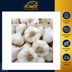 Ail blanc indien frais de qualité supérieure, bulbes à l'arôme naturel intense, idéal pour la cuisine et la transformation alimentaire, disponible en gros - Product Image 2
