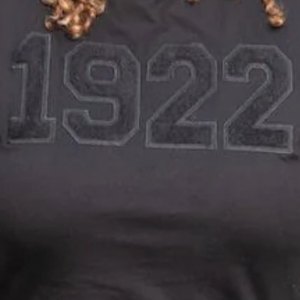 Camiseta Unisex de Chenilla Negra 1922, Camiseta de Hermandad Griega, Algodón Premium, Estilo Casual Urbano Minimalista - Product Image 3