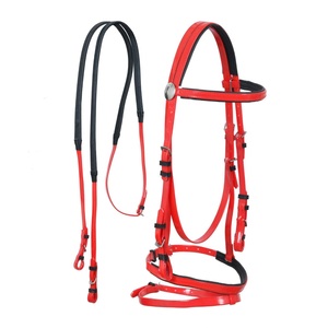 Correa de PVC Impermeable y Resistente a la Humedad para Caballos, con Herrajes Metálicos Duraderos y Resistentes a la Oxidación, Tamaños Personalizables - Product Image 1