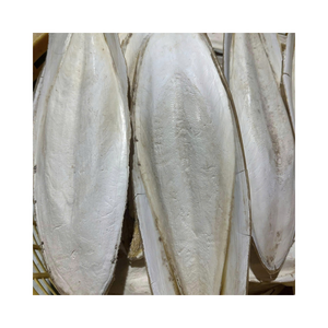 Os de Seiche Naturels Séchés en Gros pour les Acheteurs Internationaux de Produits pour Animaux de Compagnie - Product Image 4