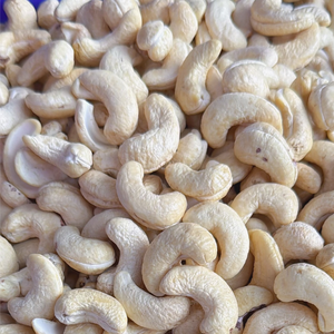 Mejor Precio W180 W320 Nueces de Anacardo W240 Vietnam Santigo Nueces de Anacardo Vietnam Exportación al por Mayor a Asia, UE, Medio Oriente - Product Image 1