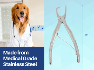 Pince à tartre pour animaux de compagnie 4,5″ – Outil de détartrage dentaire pour chiens, animaux domestiques, usage vétérinaire, gratte-plaque dentaire - Product Image 2