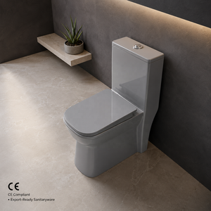 Inodoro de Cerámica Moderno de Una Pieza, Color Gris, con Doble Descarga y Diseño de Sifón S/P, Accesorio para Baño - Product Image 2
