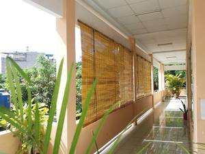 Persianas de Bambú – Persianas Enrollables para Ventanas, Naturales y Duraderas, Precio Competitivo // Mr.Tom - Product Image 6