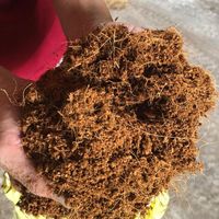 Favori des clients : Tourbe de coco pour la germination des graines et l'amélioration du substrat de potage – Qualité supérieure 2026
