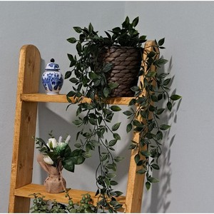 Pine <b>Wood</b> <b>Rustic</b> Ladder Plant Stand Wholesale | Distressed White-Wash Finish - Product Image 5