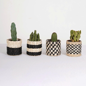 Small Plant Holder Colorful Blue Yellow Green Pot <b>Planter</b> Covers <b>for</b> Cactus Succulent Plants - Product Image 2