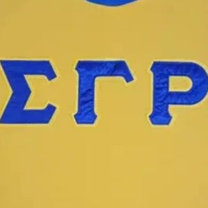 T-shirt Ringer Sororité Sigma Gamma Rho Lettres en Satin Noir Manches Courtes Femme Motif Lettres Grecques Décontracté Tendance Personnalisé - Product Image 3