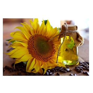 Huile de tournesol en gros, huile de tournesol raffinée comestible, huile de tournesol raffinée pour la cuisson - Product Image 6