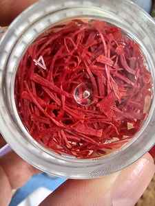 Azafrán Kashmiri Lacha Premium A+ con Fuerte Aroma, Estigmas Largos de Color Rojo Carmesí Oscuro y Estilo Amarillo/Naranja - Product Image 4