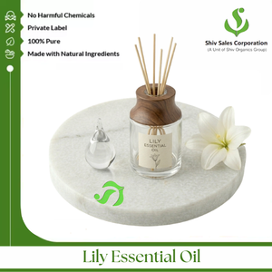 Aceite Esencial de Lirio de Alta Calidad para Uso en Perfumería, Productos Cosméticos y Suministro a Granel Consistente para Compradores Internacionales - Product Image 2