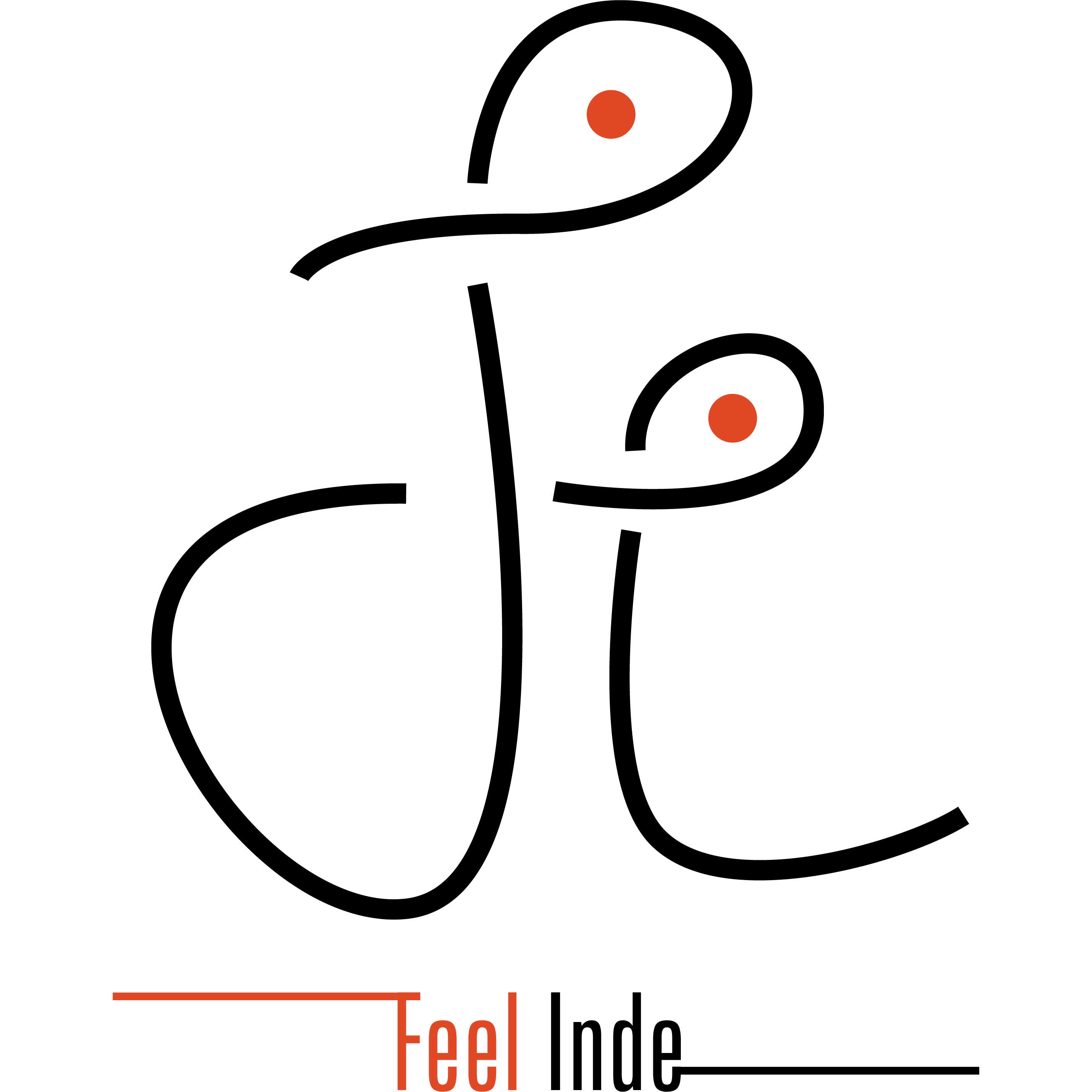 SARL FEEL-INDE logo