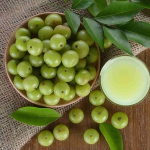 Aceite Orgánico de Amla India para el Crecimiento del Cabello, Hidratante para el Cuero Cabelludo, Tratamiento para un Cabello Fuerte, Saludable y Grueso - Product Image 5