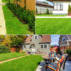 Tapete de Césped Artificial Realista y Suave TH-PAG-611 para Perros, Diseñado para una Fácil Limpieza, Perfecto para Zonas de Entrenamiento en Interiores - Product Image 6