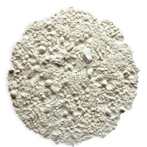 Premium quality natural <b>vanilla</b> powder bulk wholesale supplier for international food importers and global distributors - Product Image 2